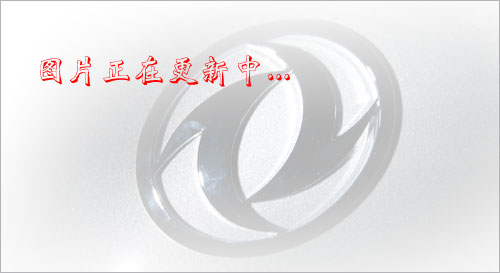 20CrMo�o�p��